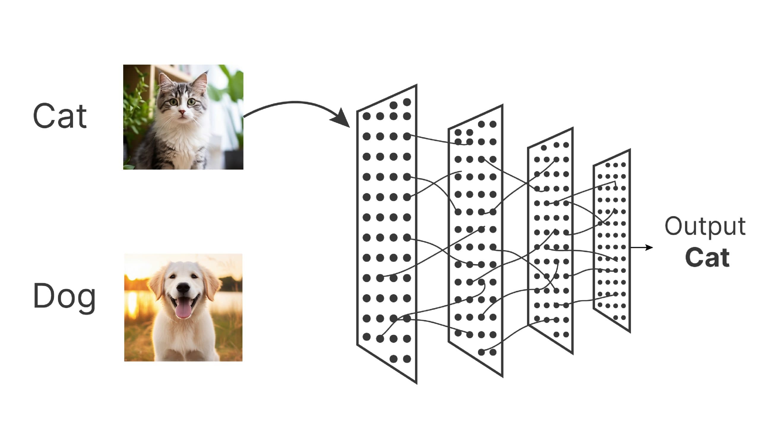 Cat-Dog-Panda Classification & Object Detection